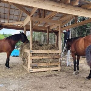 Heavy Duty 6×6 Hay Feeder with 12×12 Roof